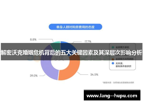 解密沃克婚姻危机背后的五大关键因素及其深层次影响分析