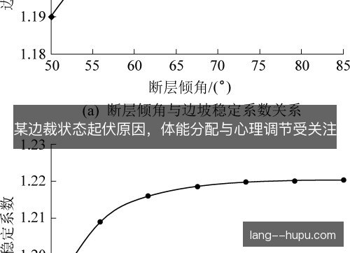 某边裁状态起伏原因,体能分配与心理调节受关注 某边裁状态起伏原因,体能分配与心理调节受关注